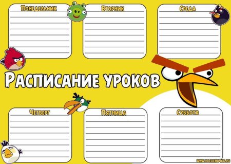 Расписание занятий