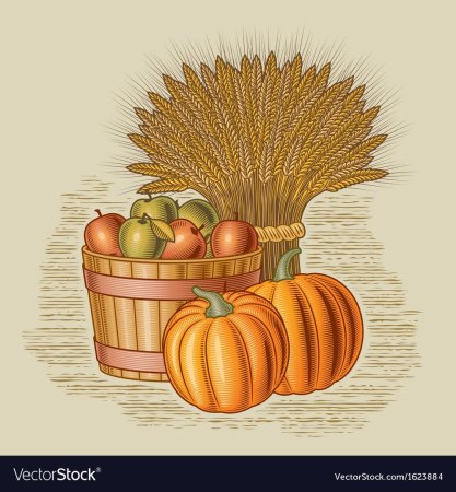 Урожай рисунок