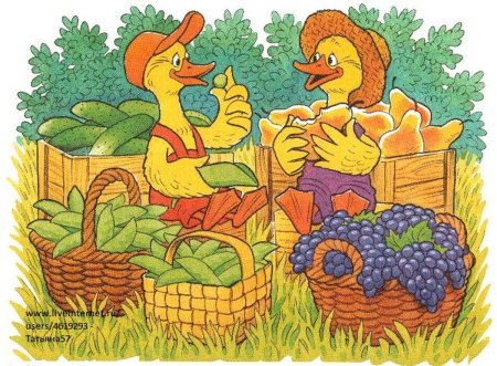 Богатый урожай жили-были трудолюбивые гусята Ваня и Костя