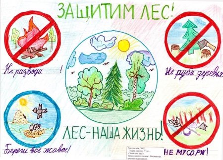 Плакат защита природы