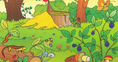 Картина Лесная Поляна для детей