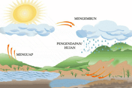 Вода для дошкольников