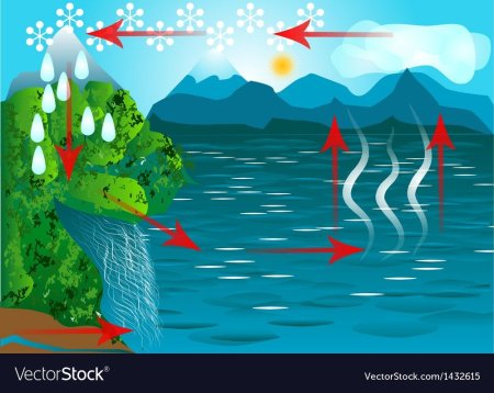 Круговорот воды фон