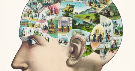 Социальная психология картинки