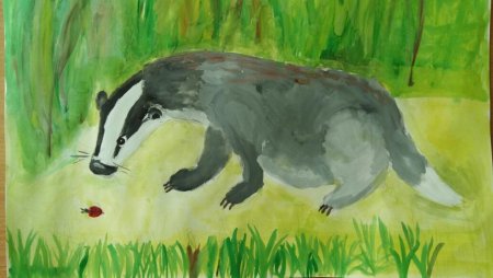 К. Паустовский "барсучий нос"