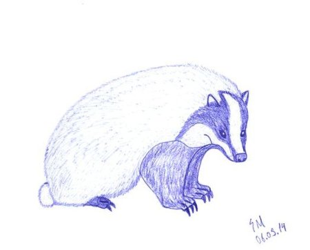 Паустовский барсучий нос нарисовать иллюстрацию