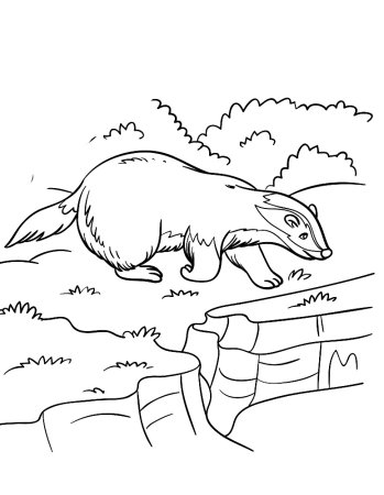 Барсучий нос главные герои