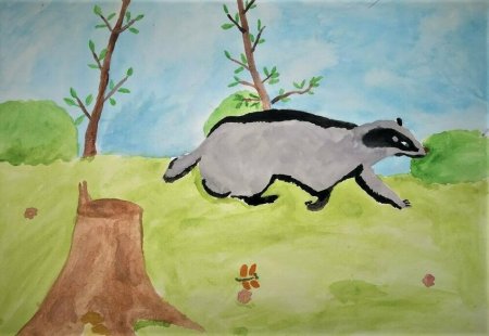 Барсучий нос