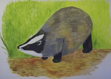 К. Паустовский "барсучий нос"