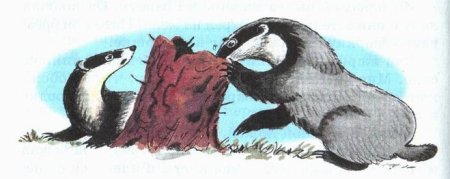 Иллюстрация к произведению барсучий нос