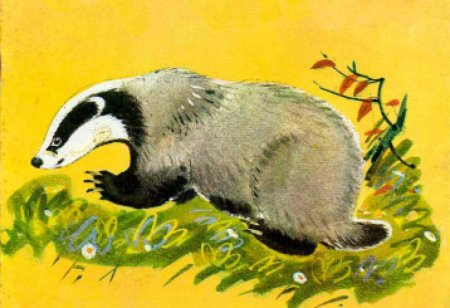 Акварель Нора барсука