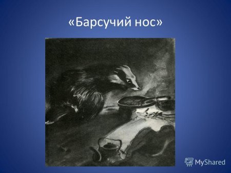 Константин Паустовский барсучий нос