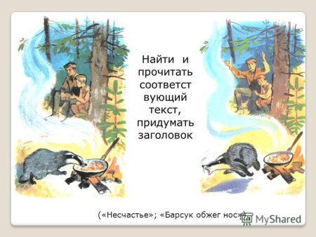 Рисунок барсучий нос Паустовский 3 класс