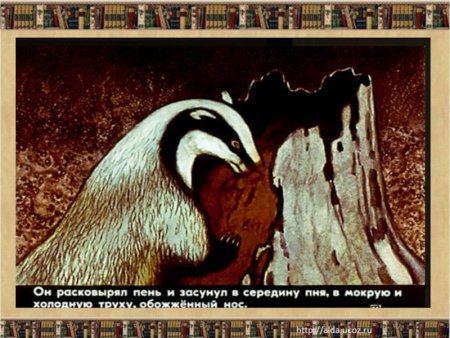 Барсук барсучий нос Паустовского