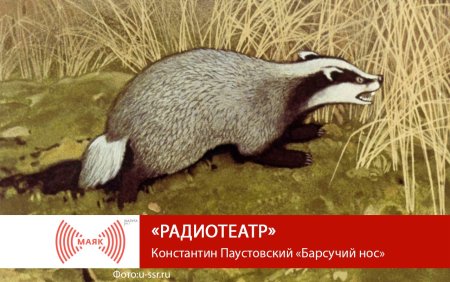 Константин Паустовский барсучий нос