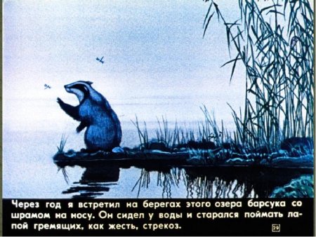 Дикие животные раскраска для детей