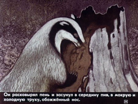 Константин Паустовский барсучий нос