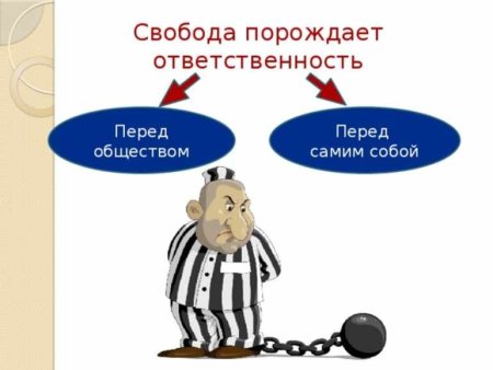 Свобода порождает ответственность