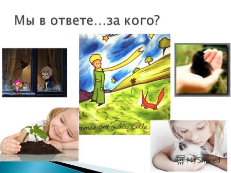 Свобода и ответственность рисунок