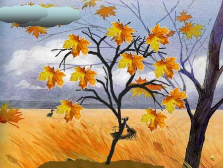 Явления природы осенью для дошкольников