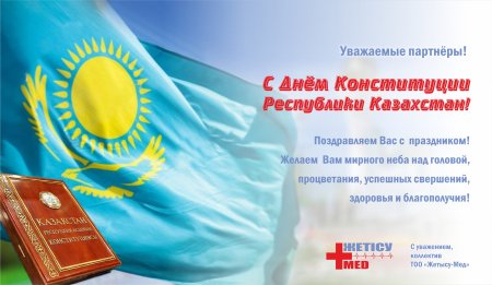 Рисунок на тему Конституция глазами детей
