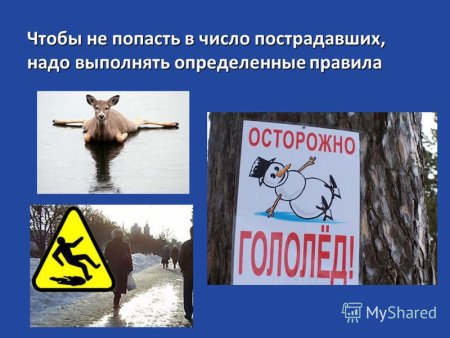 Безопасность на дороге зимой