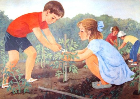 Труд рисунок