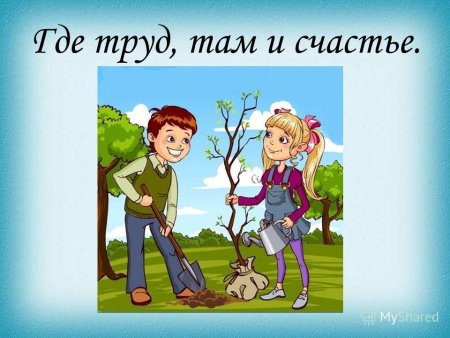 Сюжетные картины