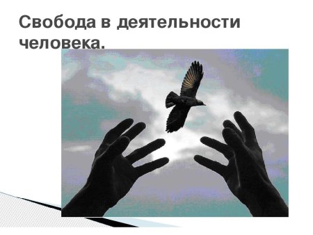 Свобода в человеческой деятельности