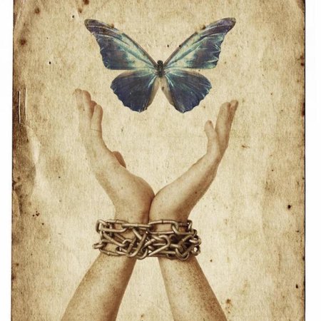 Отпустить бабочку