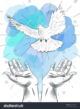 Голубь в руках