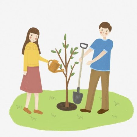 Посадка деревьев