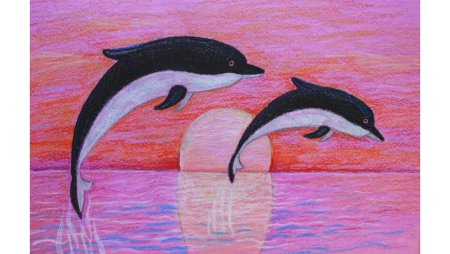 Рисунок дельфина