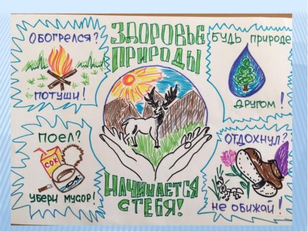 Плеат на эколлгическую тему