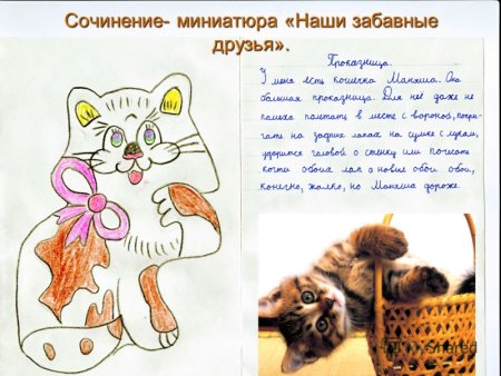 Сочинение описание