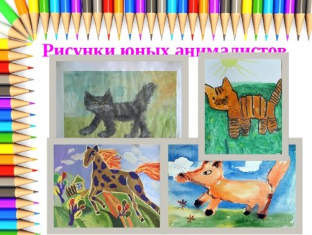 Рисунки бездомных животных