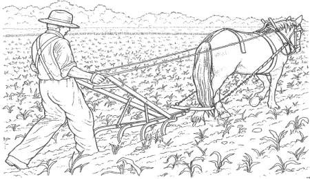 Раскраска сельское хозяйство