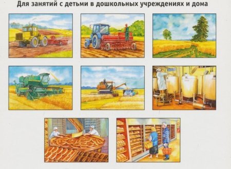 Как выращивают хлеб для детей