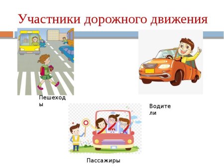 Участники дорожного движения