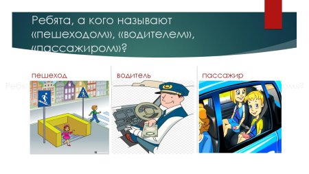 Пешеход водитель пассажир
