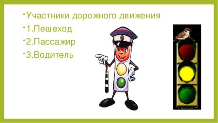 Участники дорожного движения водитель