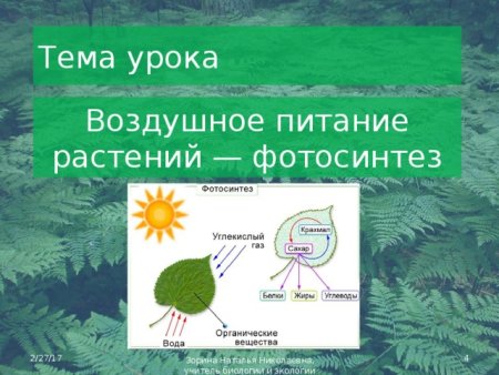 Почвенное и воздушное питание растений