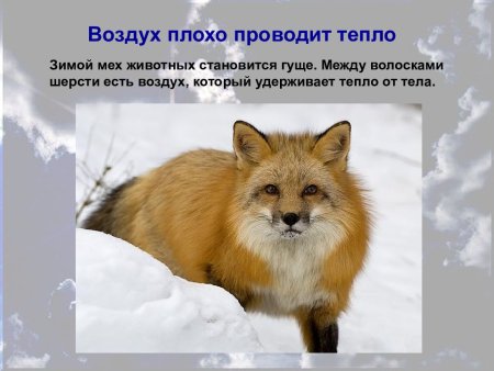 Воздух плохо проводит тепло опыт