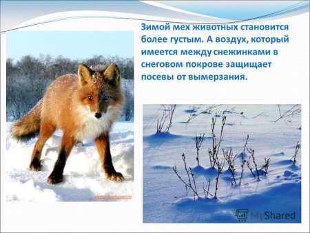 Плохие проводники тепла
