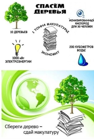 Сбор макулатуры