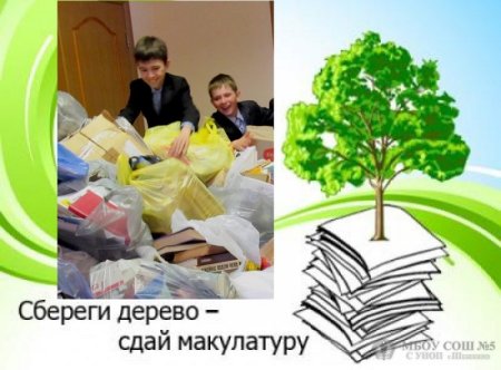 Сбереги дерево Сдай макулатуру
