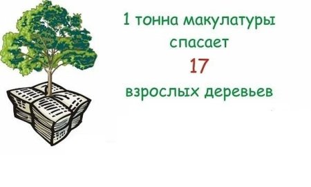 Сбор макулатуры дерево