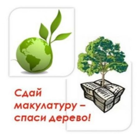 Макулатура дерево
