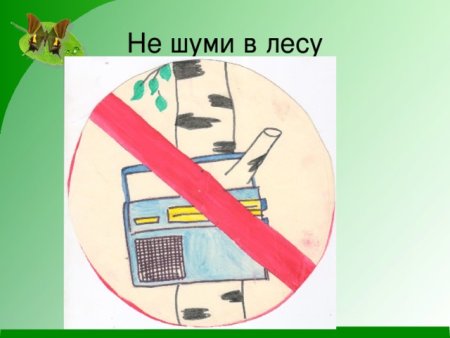 Знак не шуметь в лесу