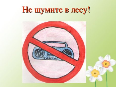 Не шуми в лесу знак для детей